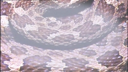 اوگی (فصل2-قسمت33)